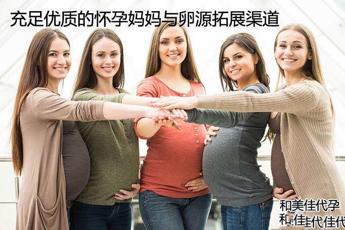 充足优质的怀代代妈与卵源拓展渠道