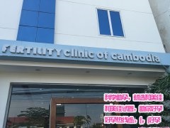 于先生、李女士高龄不孕 泰国求子成功