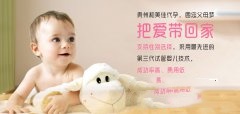 孕期补钙怎么做