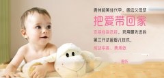 怀孕期间禁止做的几件事